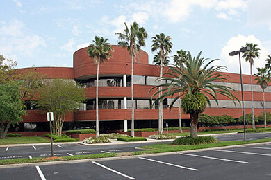 Jersey College - Tampa, FL